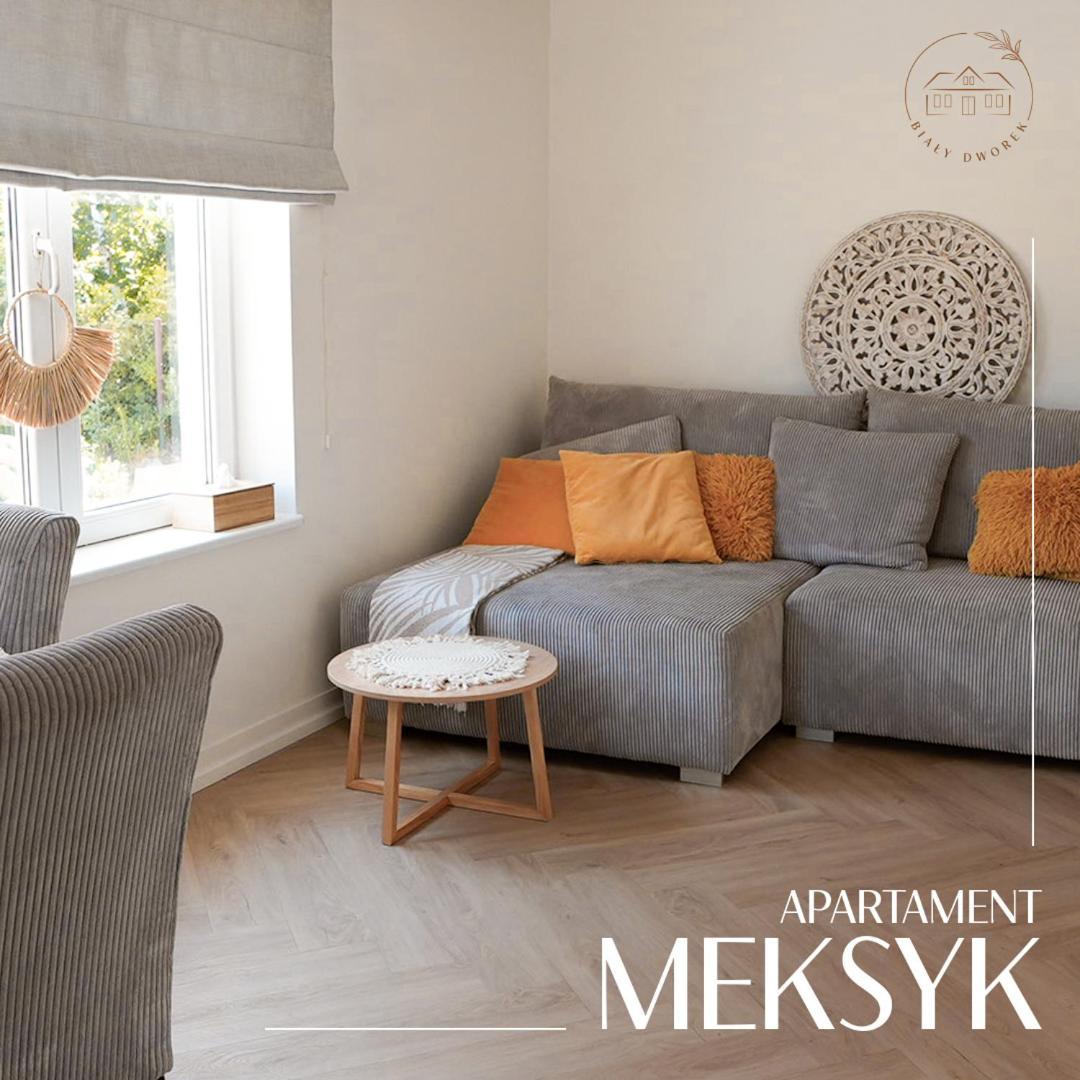 Apartament Bialy Dworek Aleksandrów Kujawski Zewnętrze zdjęcie